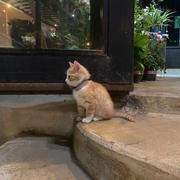 李璐955的个人资料头像