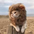 时光穿越了我的个人资料头像