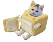 史博5771的个人资料头像