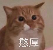 暖阳耀阳的个人资料头像