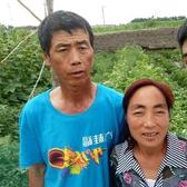 小孟乡下记头像
