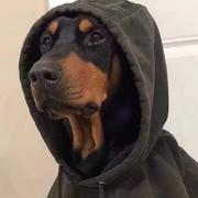 KarlHeinrichMarx的个人资料头像