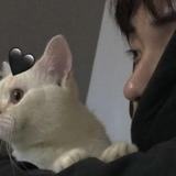 可热电影头像