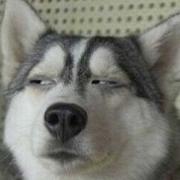 用户3406278772006的个人资料头像