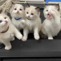 用户4404849437607头像