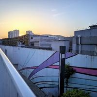 明月别枝惊鹄头像