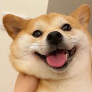 清风拂杨柳的个人资料头像