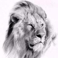 机智的明月hY头像