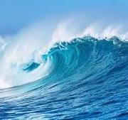 浪沥淼浪的个人资料头像