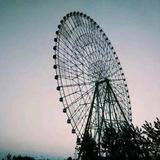 短视频搬迁站头像
