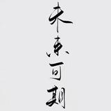勇者aimo头像