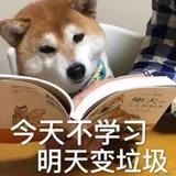 用户2312139999381头像