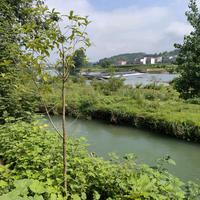 爱了散了hKk5头像