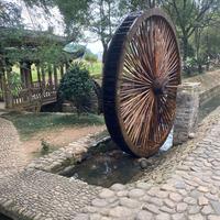 情调60660头像