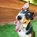 凯恩特的个人资料头像