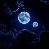 夜子时头像