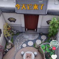 一路开到底头像
