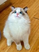 壹昂的个人资料头像