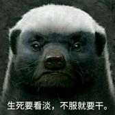 夜长尿多头像