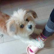 用户118421135006的个人资料头像