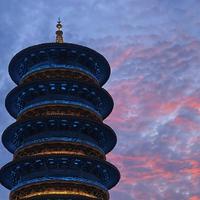 天意81285160头像