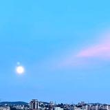 用户1463936557612头像