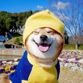 Amiebd头像