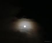 List79217的个人资料头像