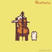 ki的个人资料头像