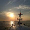 海马89081026头像