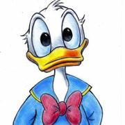 浮生半梦的个人资料头像