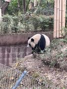 willams33的个人资料头像