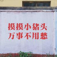 摸摸小猪头丶头像