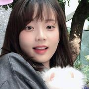 七月檐角的猫的个人资料头像