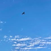 苦行修士97的个人资料头像