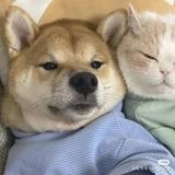 十年68110头像