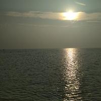 在刷到华晨宇卸载头条头像