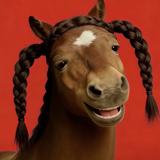 骰子摇到七头像