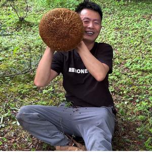 跟小刚一起采蘑菇