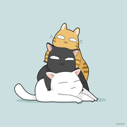 玄不救非的个人资料头像