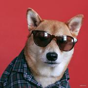 Beao的个人资料头像