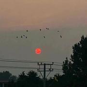 吃饭不能吃太饱的个人资料头像