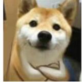 阿凡橙子头像