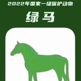 大郎起来喝药了乖头像
