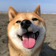 veeupup99958的个人资料头像