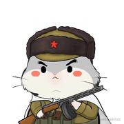 ho0xi的个人资料头像