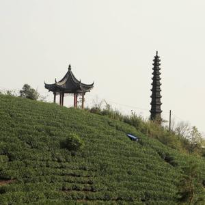 霞幕山人头像