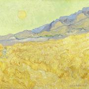 据说明天有雨的个人资料头像