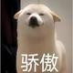 没有梦想的狗头像