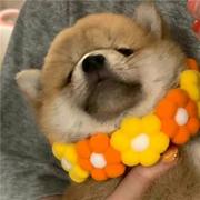 用户名007的个人资料头像